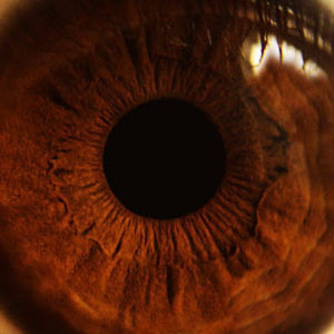 Meet your Posher, Kinleigh